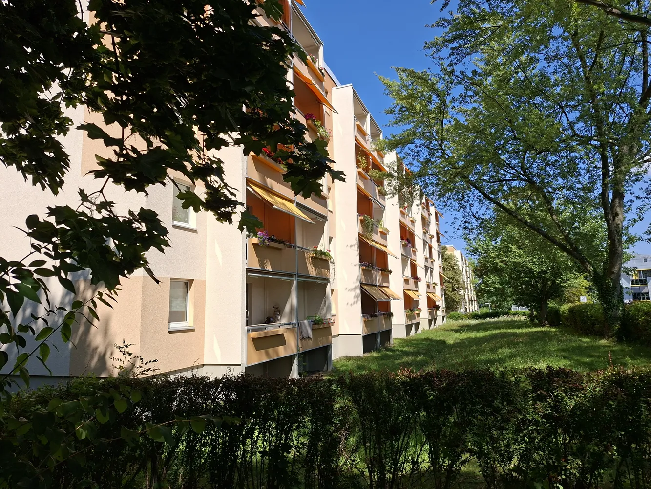 3 Zimmer Wohnung mit 58 m² in Chemnitz – Bild 8