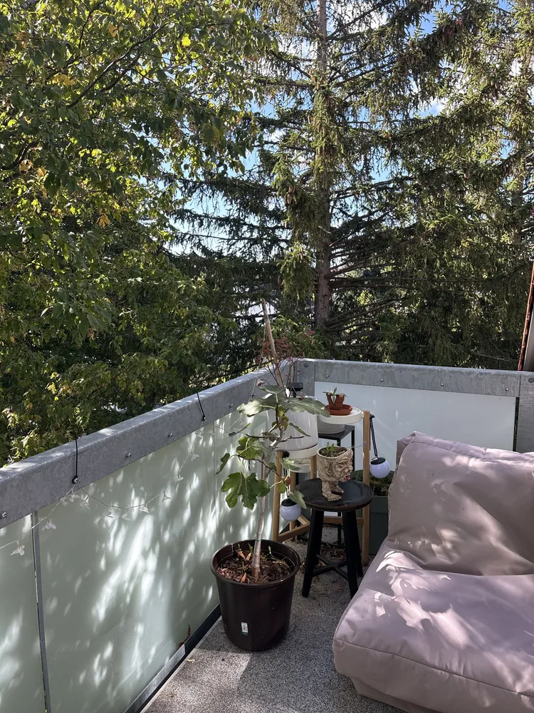 3 Zimmer Wohnung mit 65 m² in Augsburg – Bild 2