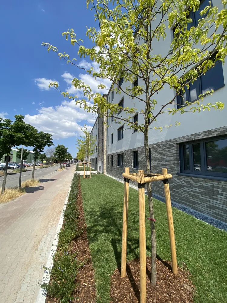 2 Zimmer Wohnung mit 64 m² in Mannheim – Bild 4