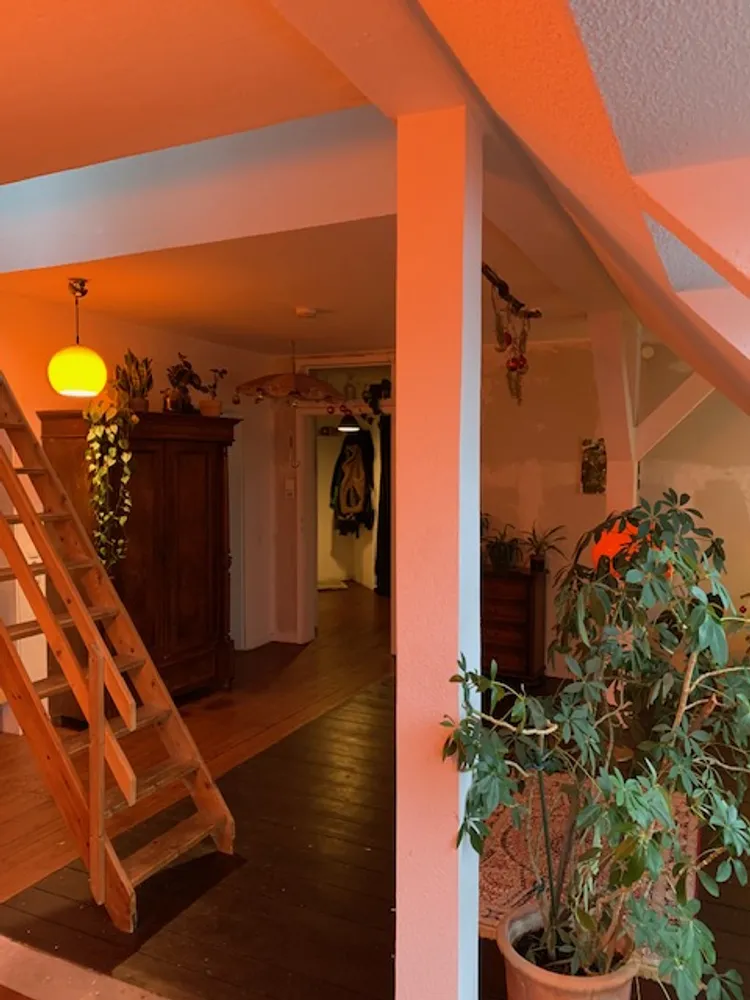 5 Zimmer Wohnung mit 75 m² in Braunschweig – Bild 3