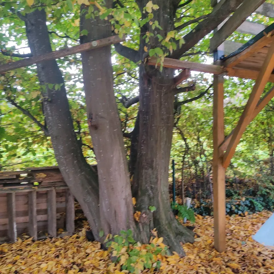 7 room house with 150 m² in Neu-Ulm – Photo 6