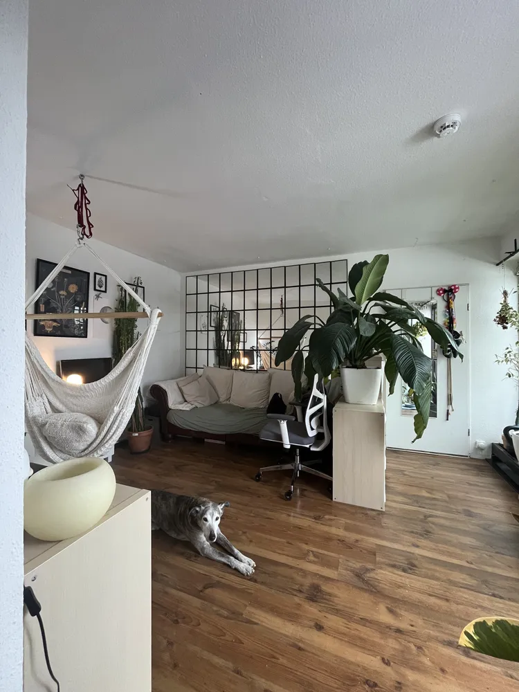 2 Zimmer Wohnung mit 32 m² in Düsseldorf – Bild 1