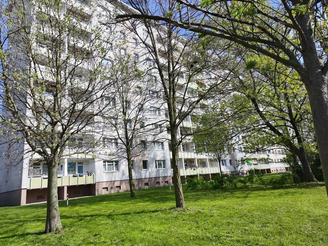 2 room apartment with 46 m² in Chemnitz – Photo 3
