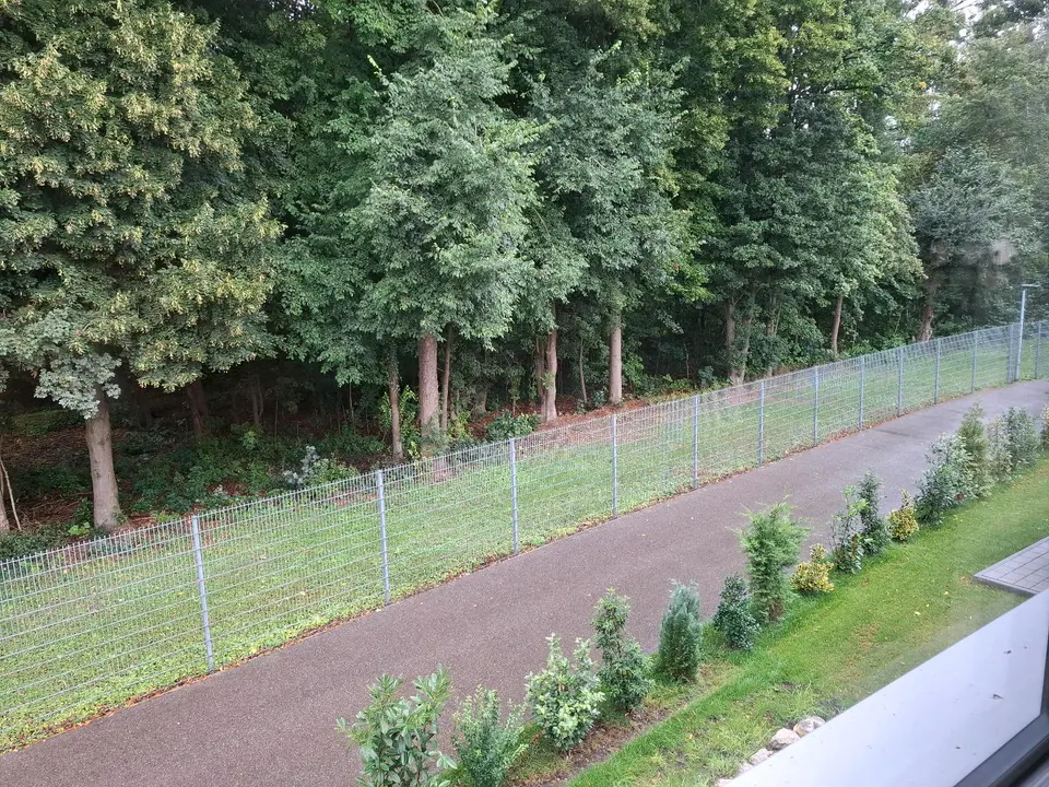 WG-Zimmer mit 210 m² in Ingolstadt – Bild 3