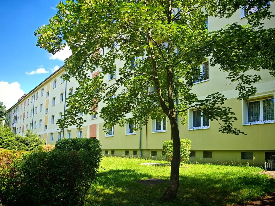 3 room apartment with 73 m² in Hoyerswerda – Photo 4