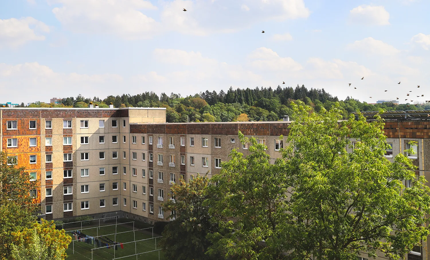3 room apartment with 60 m² in Neubrandenburg – Photo 4