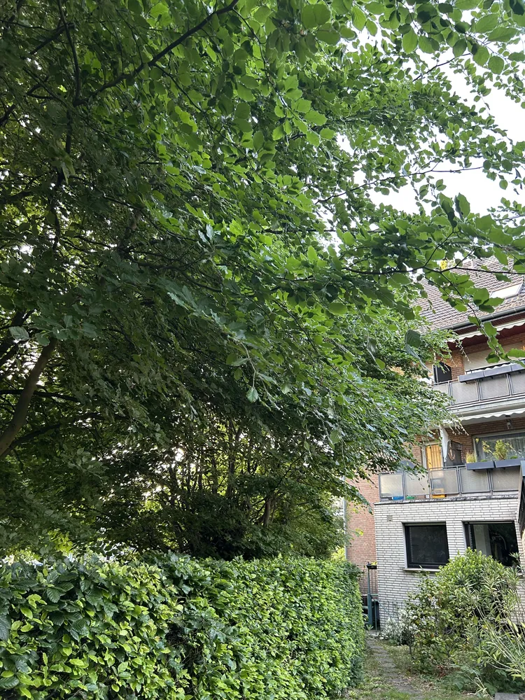 4 Zimmer Wohnung mit 80 m² in Mönchengladbach – Bild 2