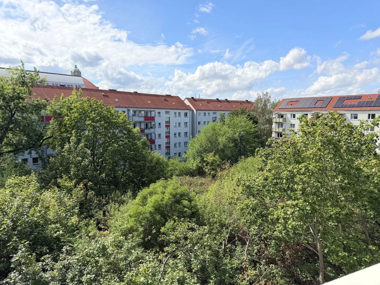 2 Zimmer Wohnung mit 51 m² in Dresden – Bild 9