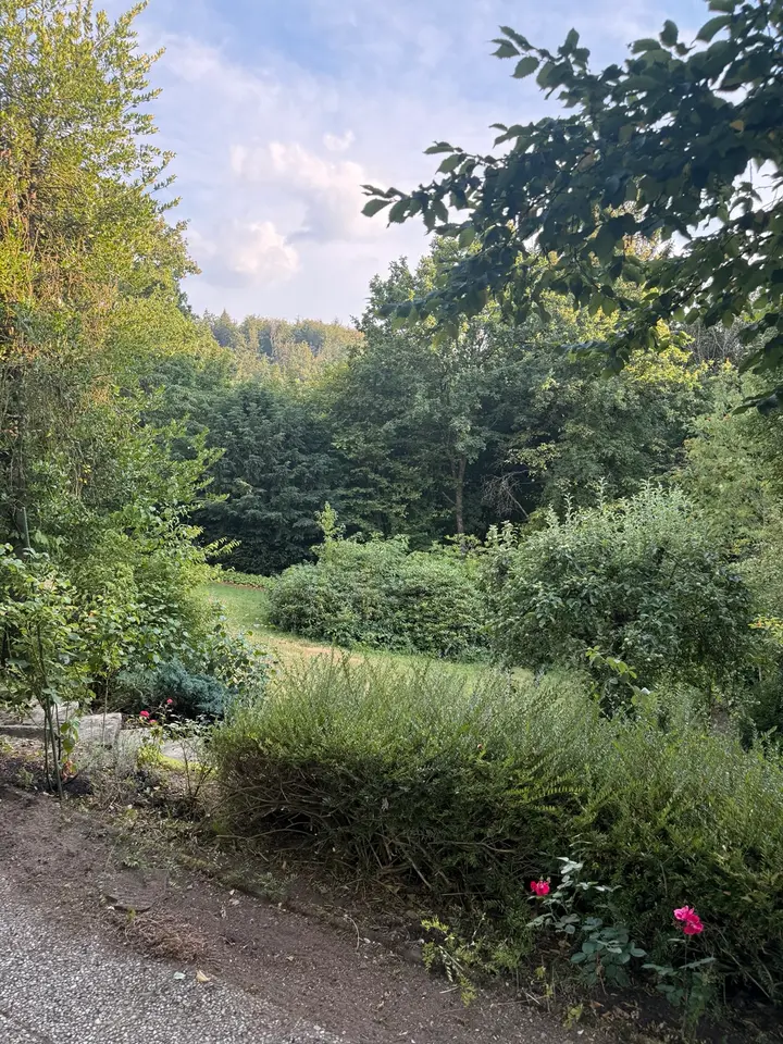 3 Zimmer Wohnung mit 90 m² in Lüdenscheid – Bild 8