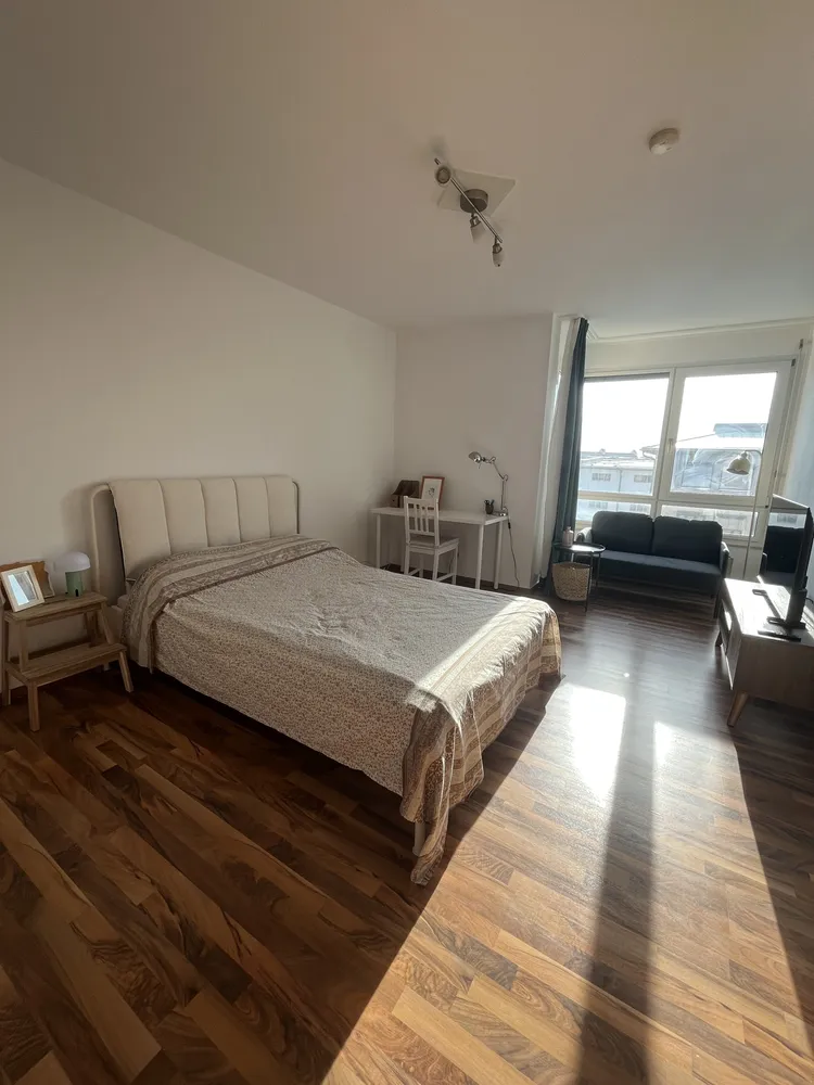 1 Zimmer Wohnung mit 24 m² in Mannheim – Bild 2