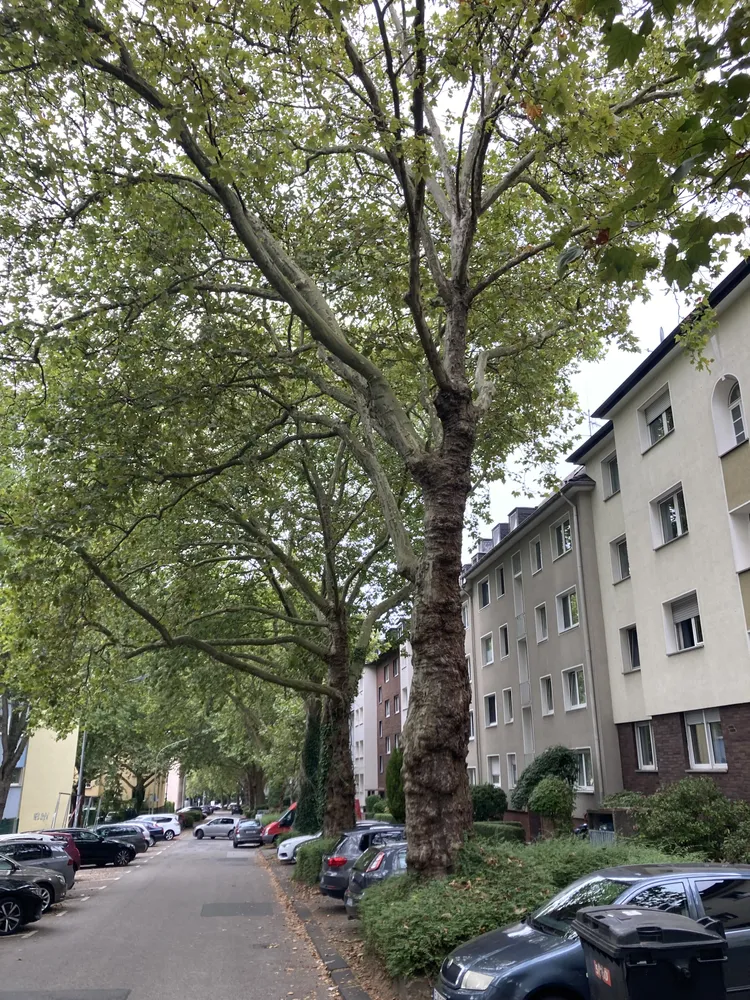 2 Zimmer Wohnung mit 51 m² in Essen – Bild 5