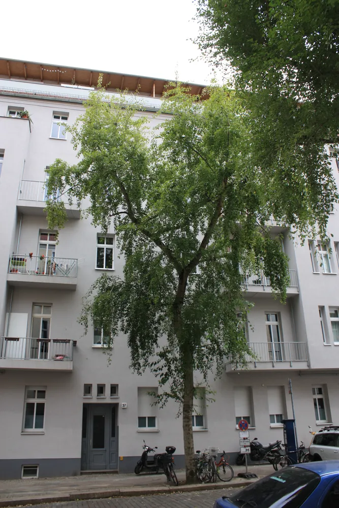 1 Zimmer Wohnung mit 36 m² in Berlin – Bild 1