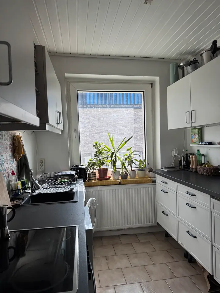 3 Zimmer Wohnung mit 55 m² in Braunschweig – Bild 6