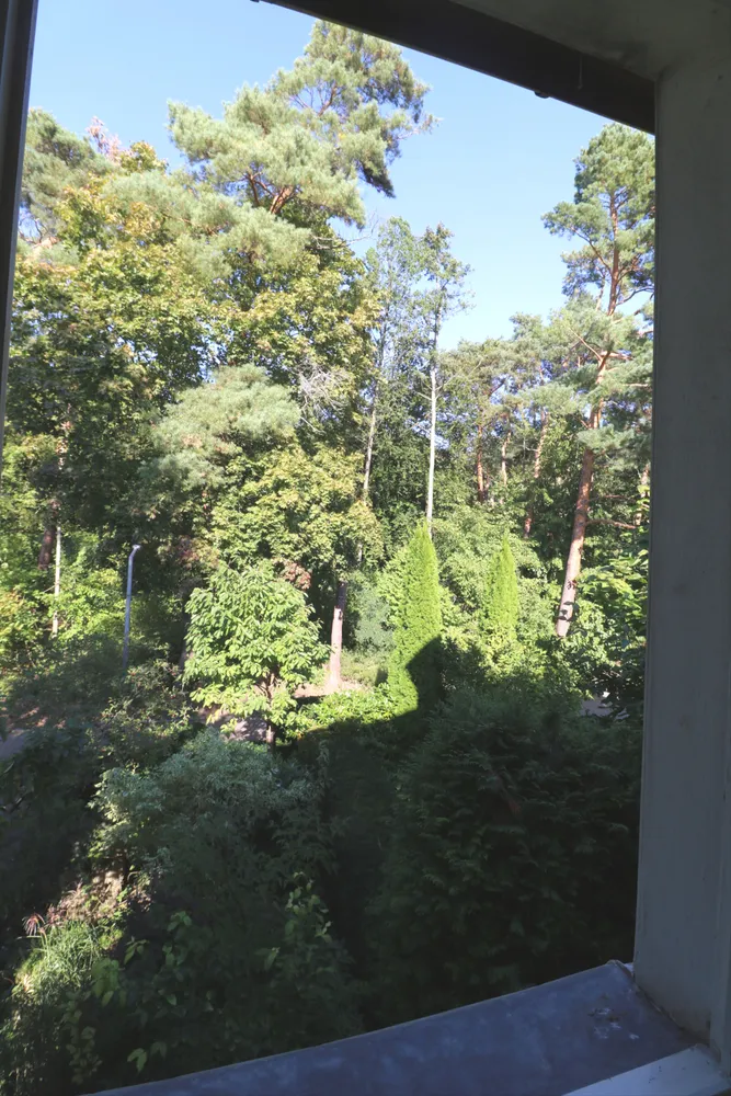3 room apartment with 94 m² in Berlin – Photo 6