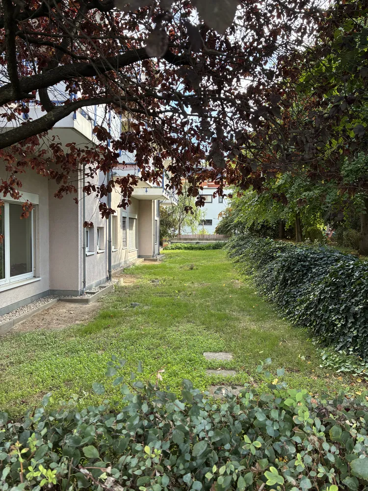 3 room apartment with 67 m² in Dresden – Photo 7