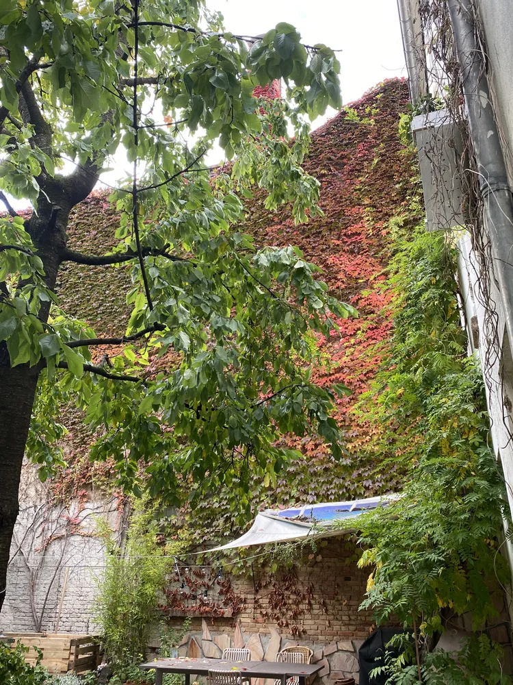 3 Zimmer Wohnung mit 100 m² in Frankfurt am Main – Bild 2
