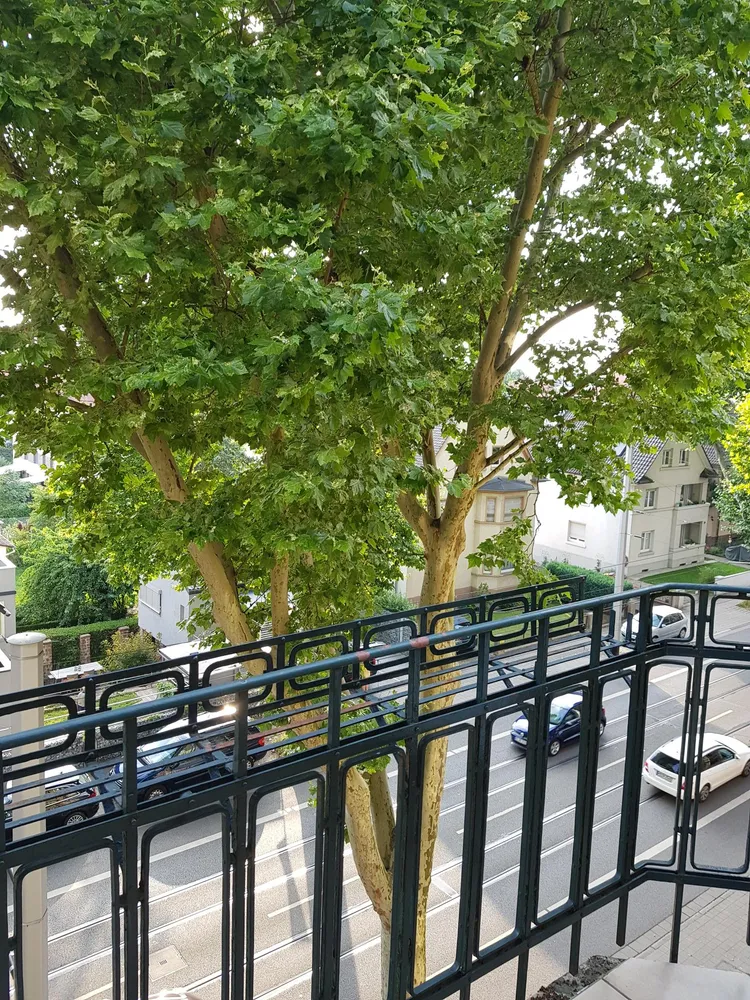 4 Zimmer Wohnung mit 96 m² in Heidelberg – Bild 12
