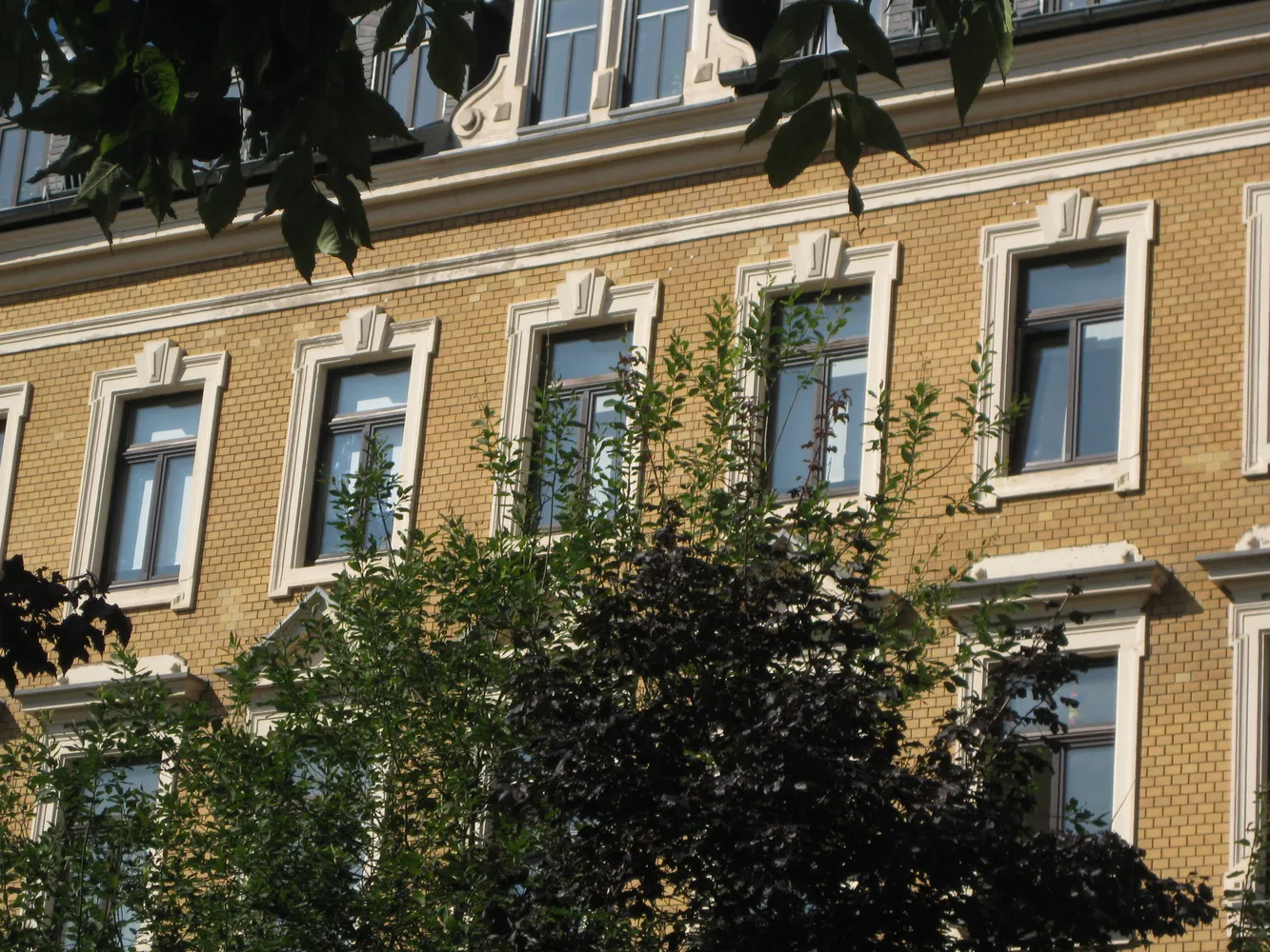 1 room apartment with 40 m² in Chemnitz – Photo 5