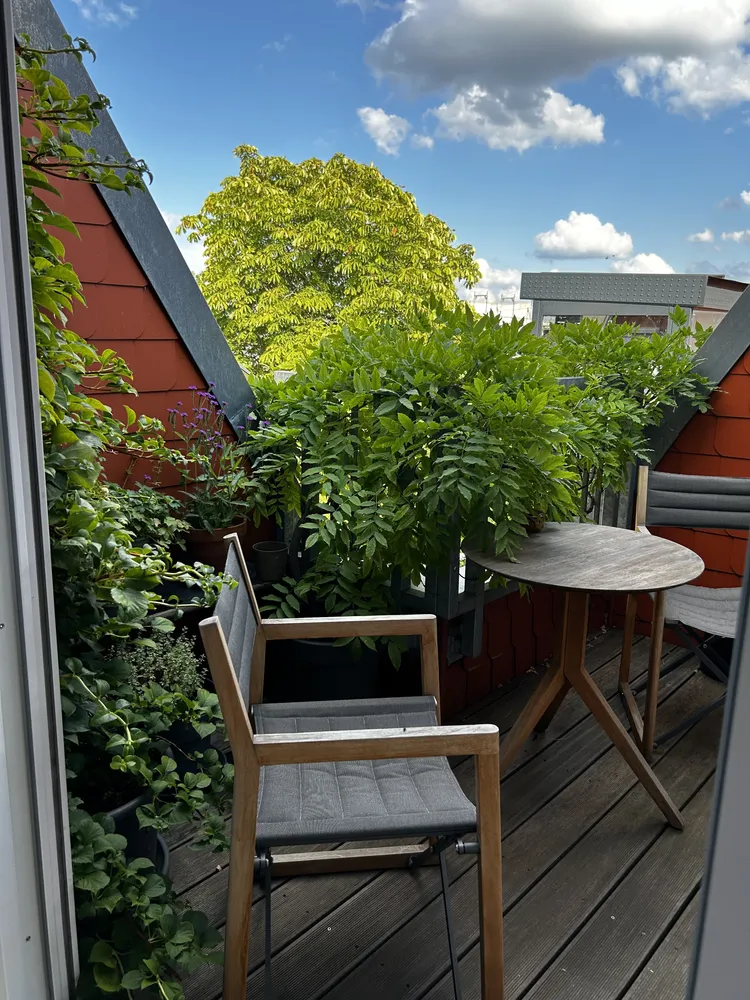 3 Zimmer Wohnung mit 122 m² in Berlin – Bild 1
