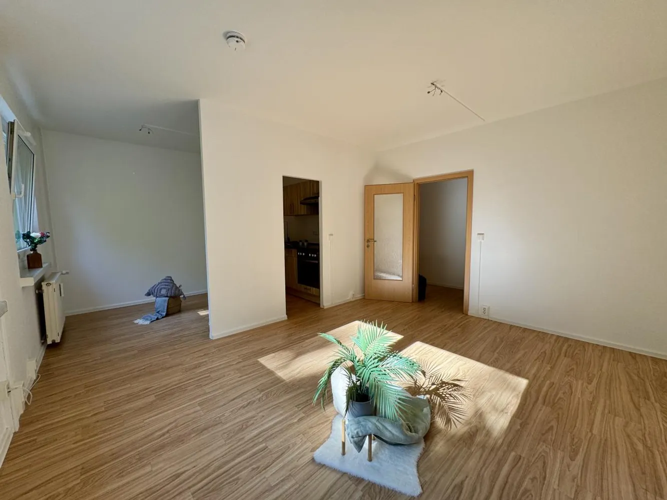 1 room apartment with 32 m² in Chemnitz – Photo 3