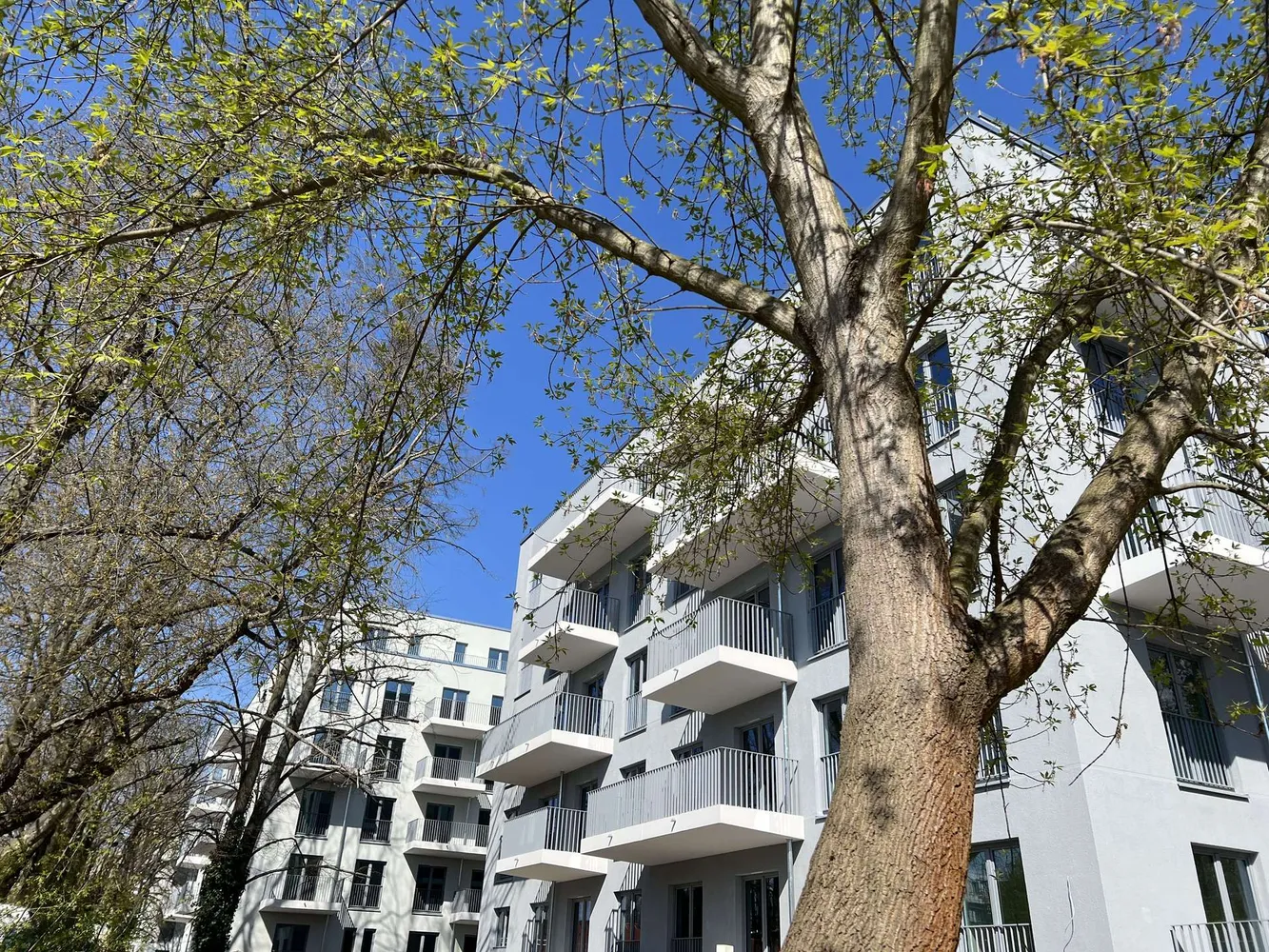 3 Zimmer Wohnung mit 74 m² in Berlin – Bild 2