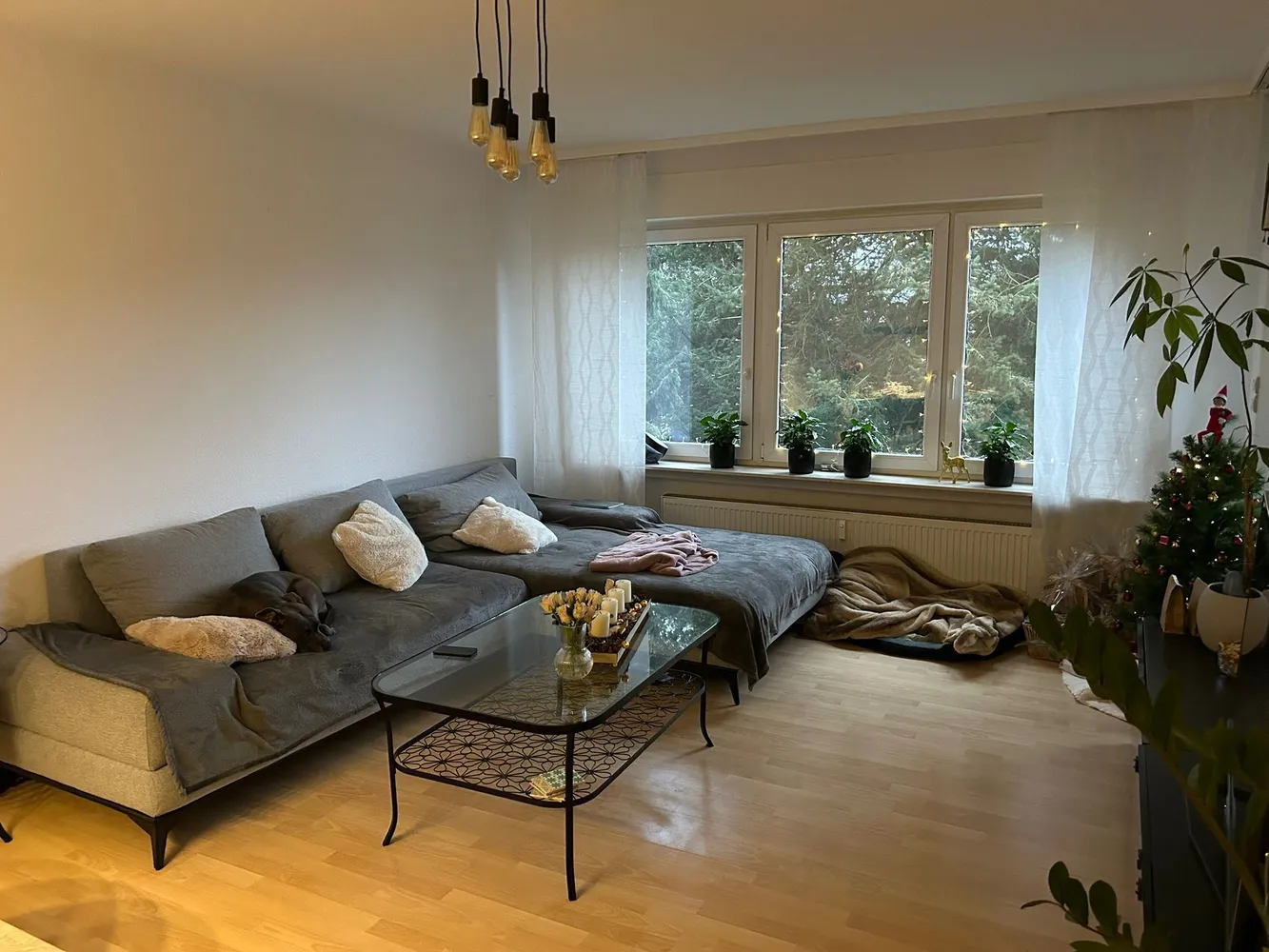 3 room apartment with 94 m² in Dreieich – Photo 3