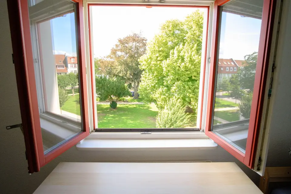 2 Zimmer Wohnung mit 43 m² in Greifswald – Bild 4