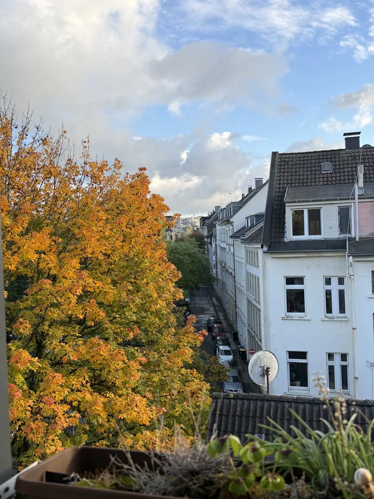 4 Zimmer Wohnung mit 85 m² in Wuppertal – Bild 10