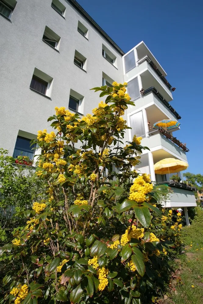 2 room apartment with 40 m² in Berlin – Photo 3