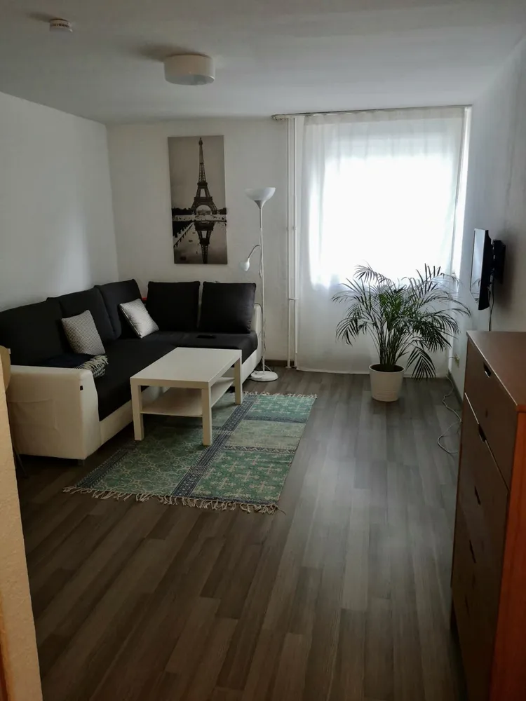 1 Zimmer Wohnung mit 25 m² in Mannheim – Bild 1