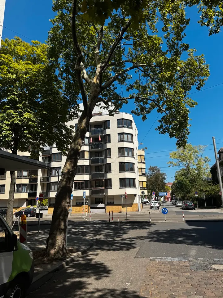3 Zimmer Wohnung mit 77 m² in Mannheim – Bild 5