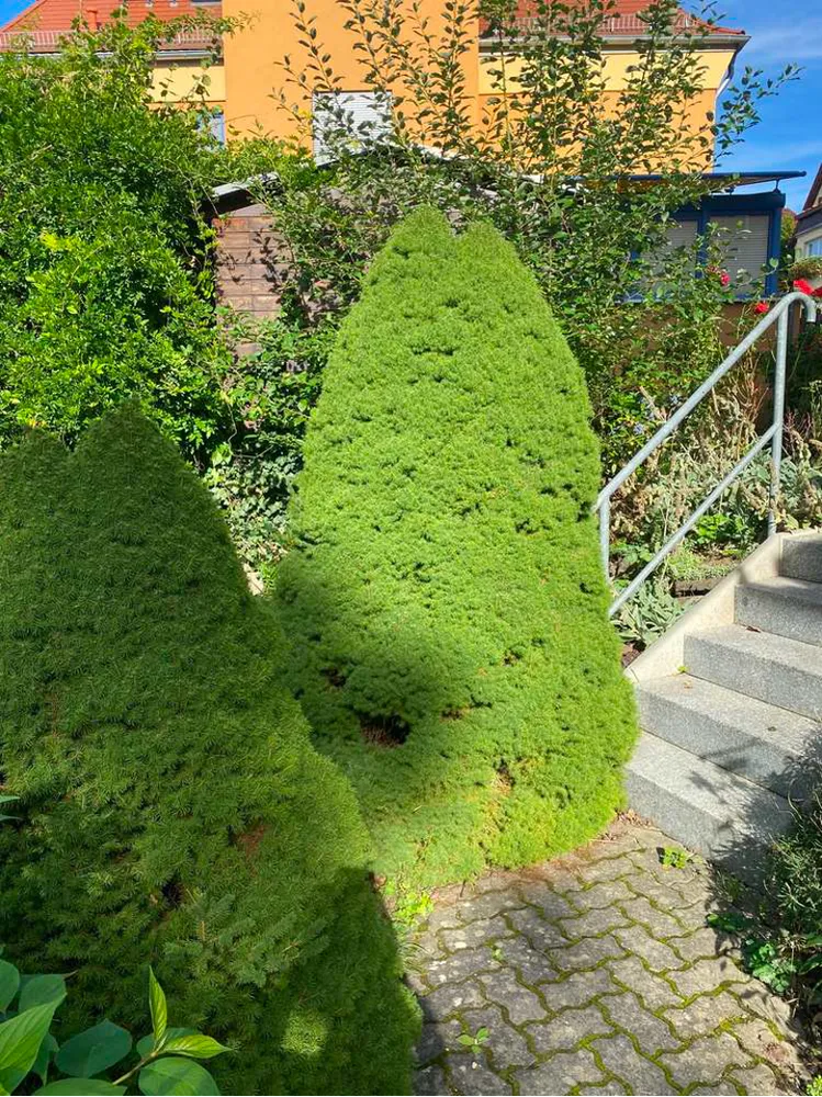 1 Zimmer Wohnung mit 35 m² in Jena – Bild 1