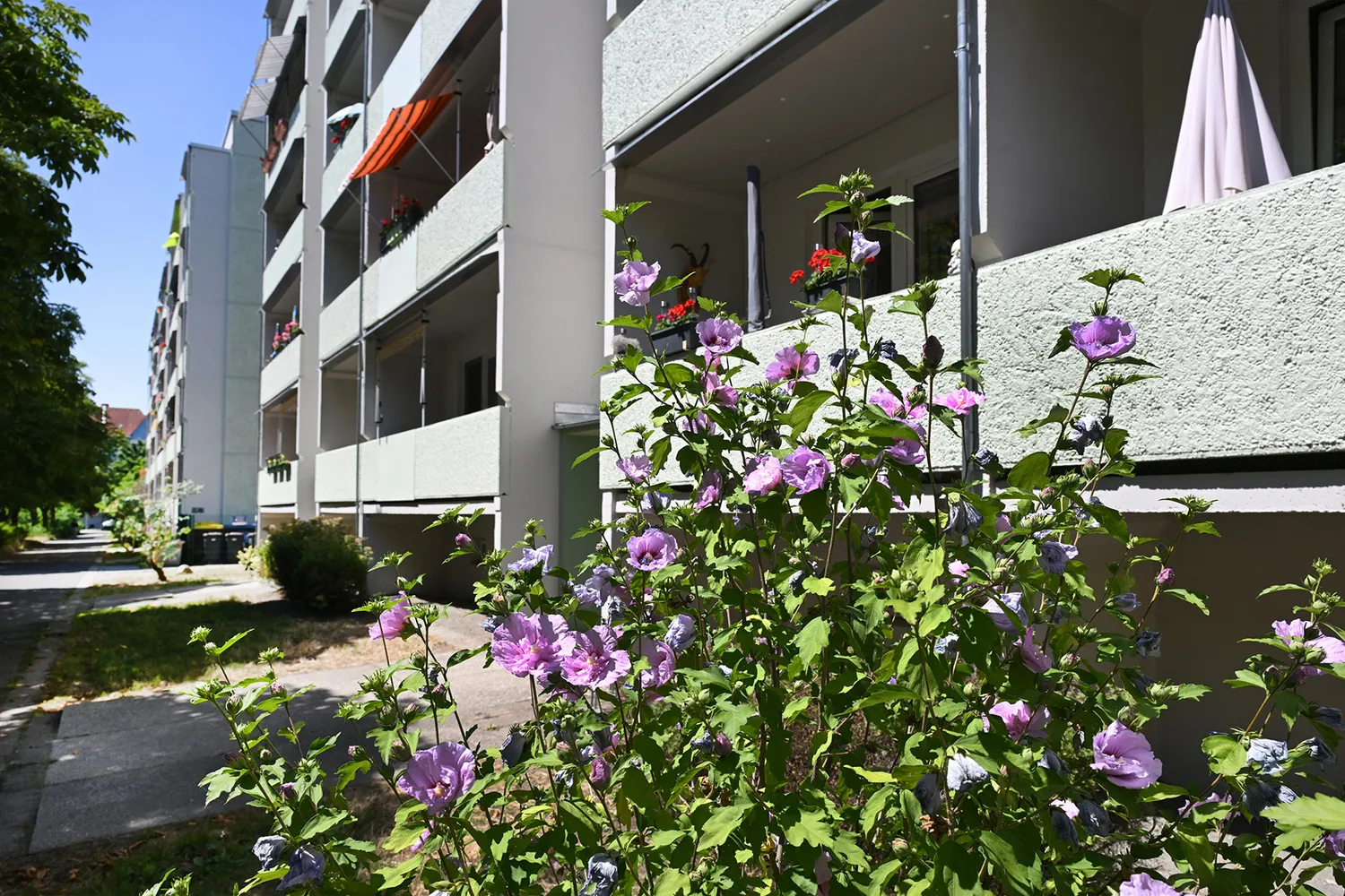 2 Zimmer Wohnung mit 48 m² in Leipzig – Bild 1
