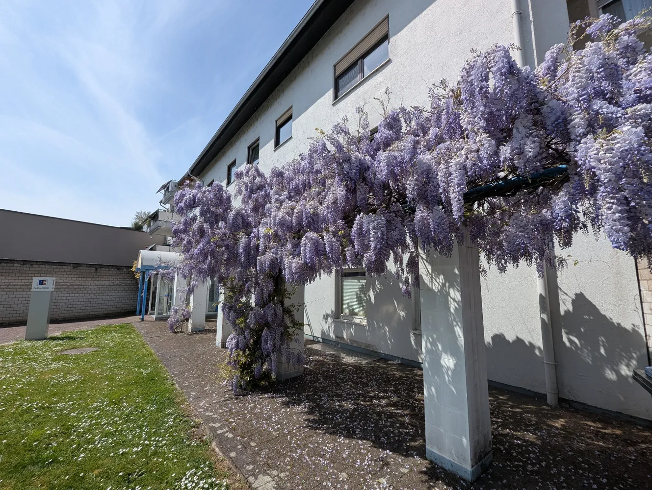 WG-Zimmer in Karlsruhe – Bild 2