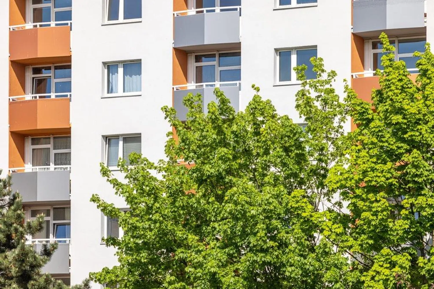 1 Zimmer Wohnung mit 27 m² in Dresden – Bild 1