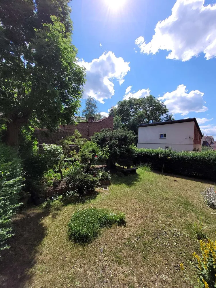 2 room apartment with 45 m² in Gotha – Photo 2
