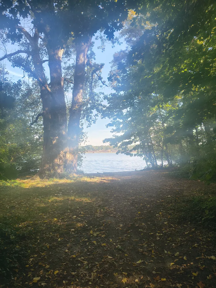 2 Zimmer Wohnung mit 68 m² in Berlin – Bild 2