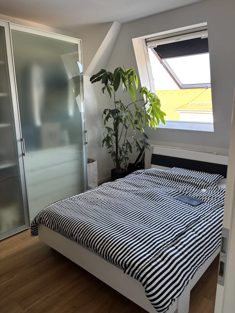 5 Zimmer Wohnung mit 135 m² in Leipzig – Bild 10