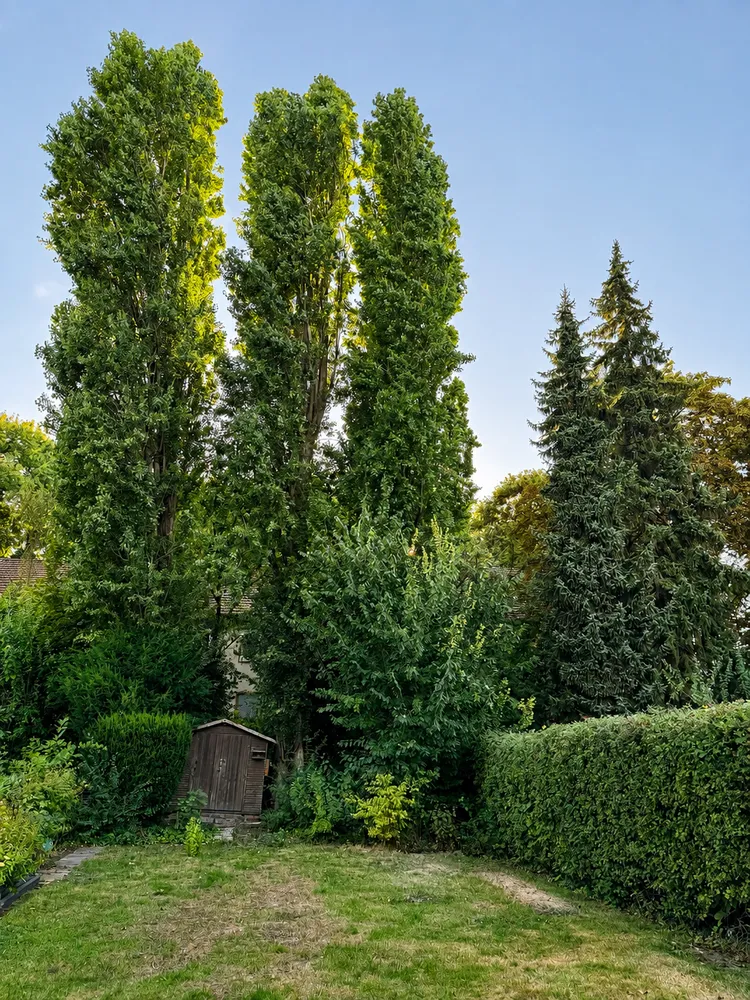 5 Zimmer Haus mit 110 m² in Essen – Bild 5