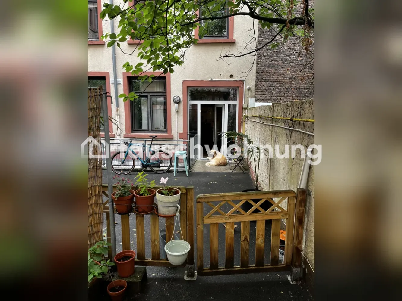 2 room apartment with 55 m² in Frankfurt am Main – Photo 4
