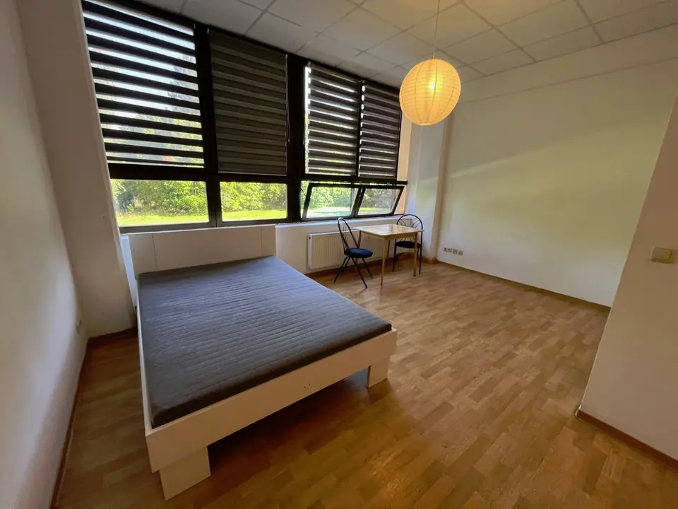 2 Zimmer Wohnung mit 30 m² in Freiberg – Bild 2