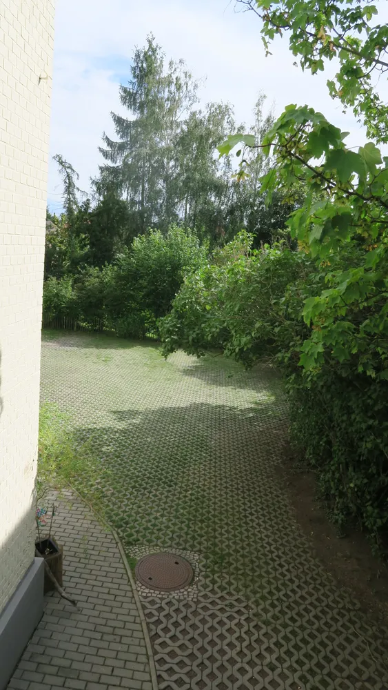 1 Zimmer Wohnung mit 25 m² in Halle (Saale) – Bild 3