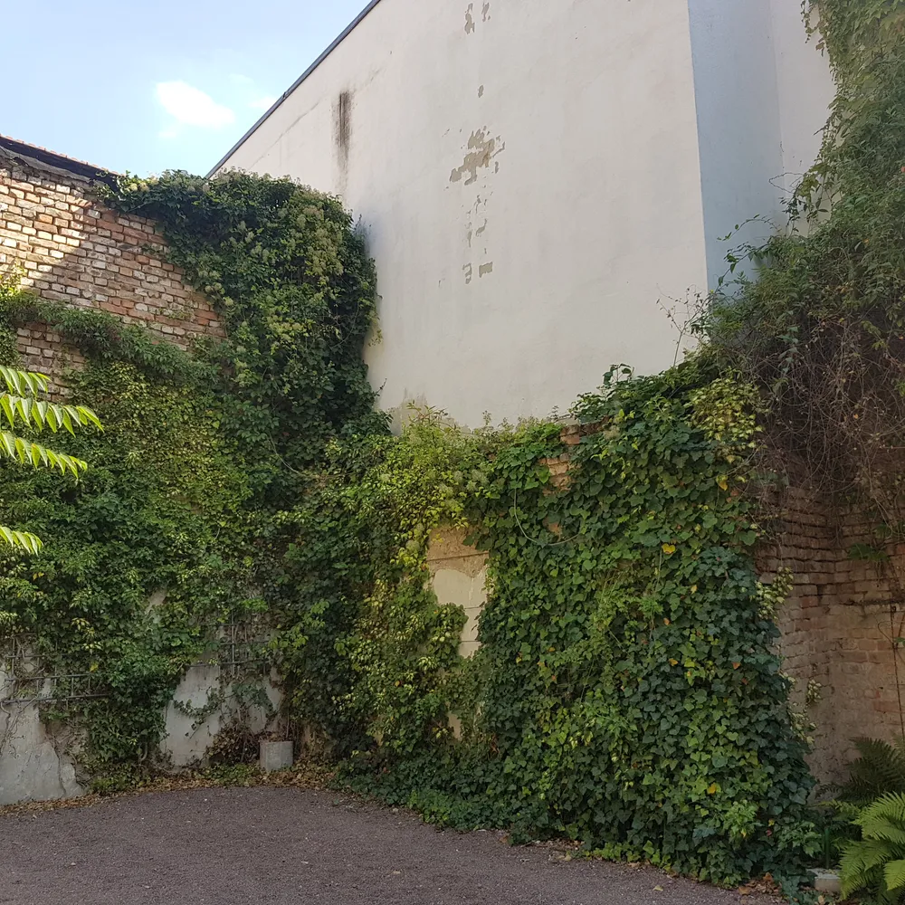 3 room apartment with 80 m² in Halle (Saale) – Photo 6