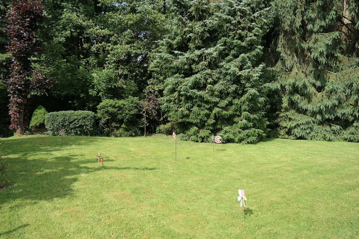 2 room apartment with 66 m² in Königswinter – Photo 8