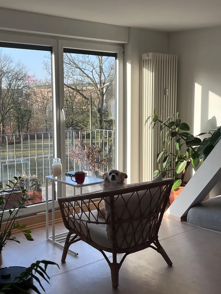 2 Zimmer Wohnung mit 110 m² in Nürnberg – Bild 3