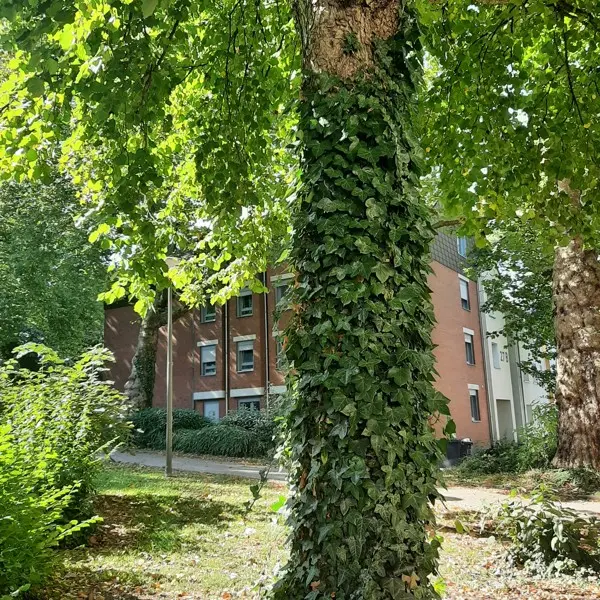 2 Zimmer Wohnung mit 40 m² in Dortmund – Bild 2