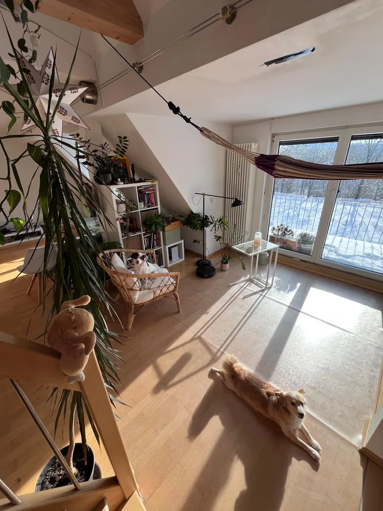 2 Zimmer Wohnung mit 110 m² in Nürnberg – Bild 1