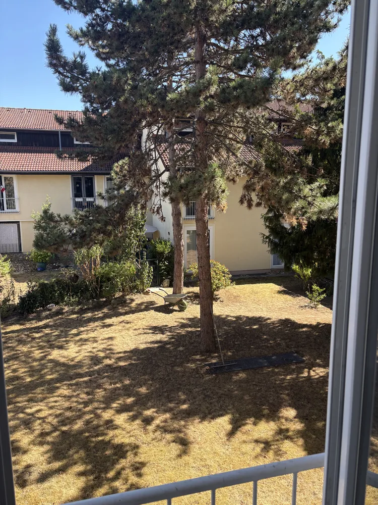 1 Zimmer Wohnung mit 21 m² in Bonn – Bild 7