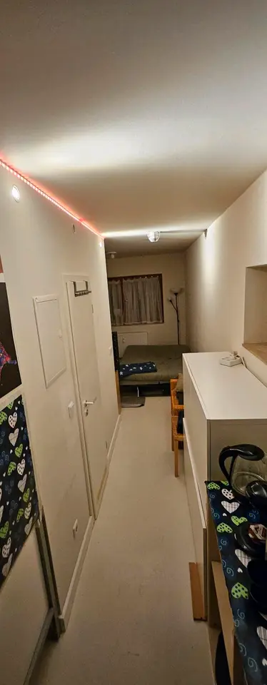 2 Zimmer Wohnung mit 20 m² in Dresden – Bild 1