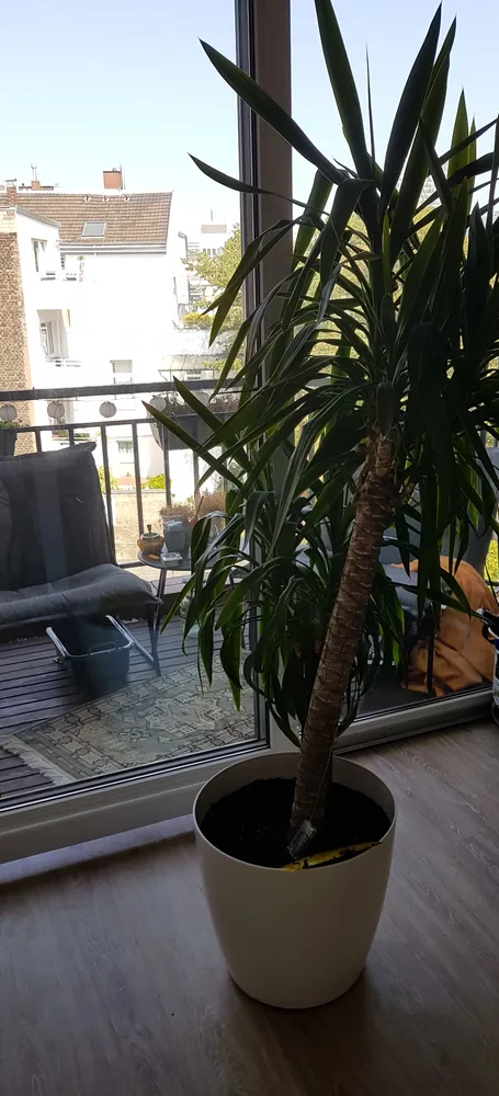 2 Zimmer Wohnung mit 72 m² in Düsseldorf – Bild 8